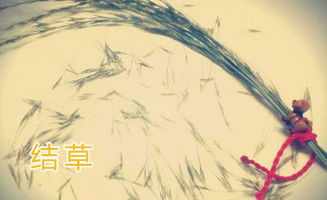 生當隕首死當結草典故,死當結草典故出自哪里,死當結草的典故出處