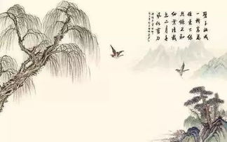 宸古詩(shī)典故