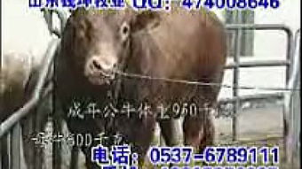 牧業(yè)典故