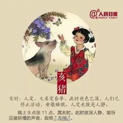 豬典故
