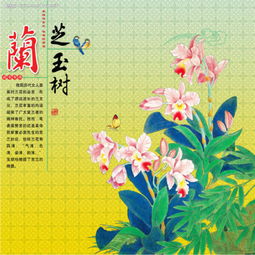 蘭芝玉樹(shù)的典故
