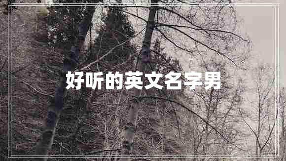 好聽(tīng)的英文名字男