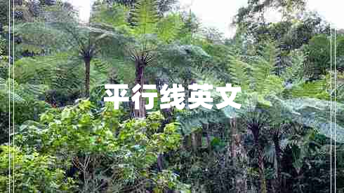 平行線(xiàn)英文