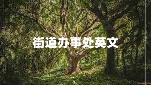 街道辦事處英文