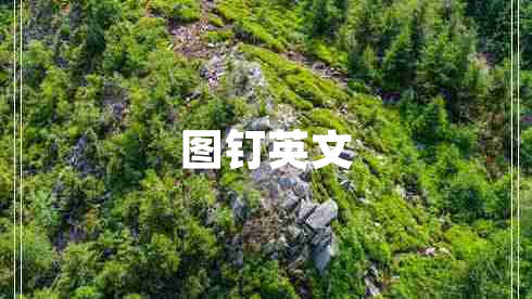 圖釘英文