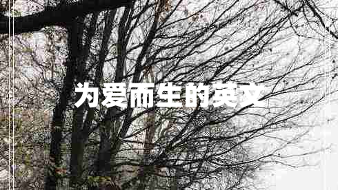為愛(ài)而生的英文