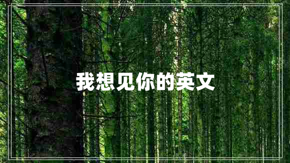 我想見(jiàn)你的英文