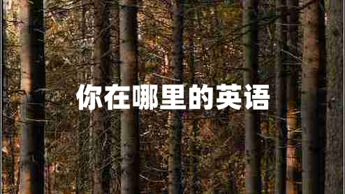 你在哪里的英語