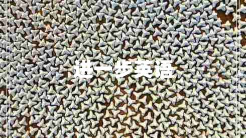 進(jìn)一步英語