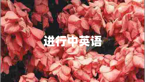 進(jìn)行中英語