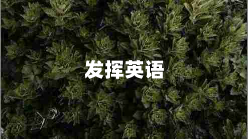 發(fā)揮英語