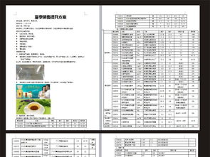 夏天活動(dòng)策劃方案
