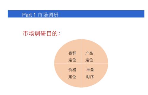 小產(chǎn)權房操盤(pán)策劃方案