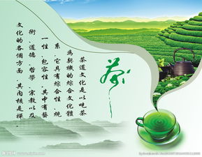 品茶會(huì )策劃方案
