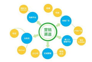 低成本的營(yíng)銷(xiāo)策劃方案