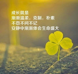 句子,能量
