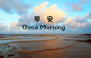 簡(jiǎn)短,句子,能量,充滿(mǎn)