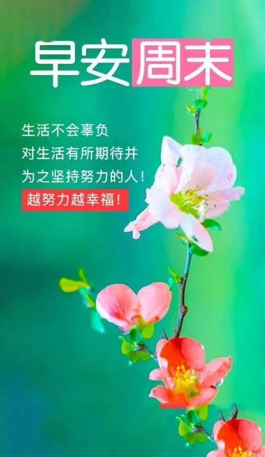 心向陽(yáng)光正能量的句子早安,早安積極陽(yáng)光正能量的簡(jiǎn)短句子,早安勵志陽(yáng)光正能量的句子簡(jiǎn)短