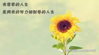勵志句子早安心語(yǔ)正能量
