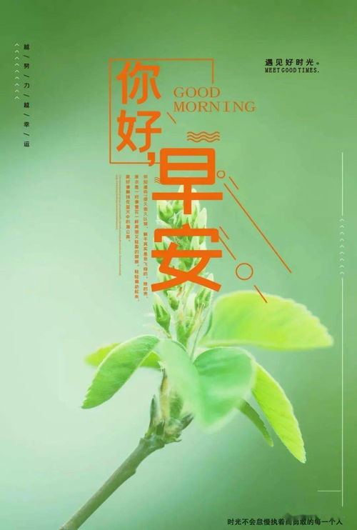 句子,能量,吸引