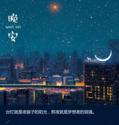 句子,能量,晚上,心情