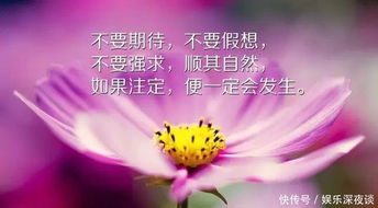 正能量句子簡(jiǎn)短一句話(huà)