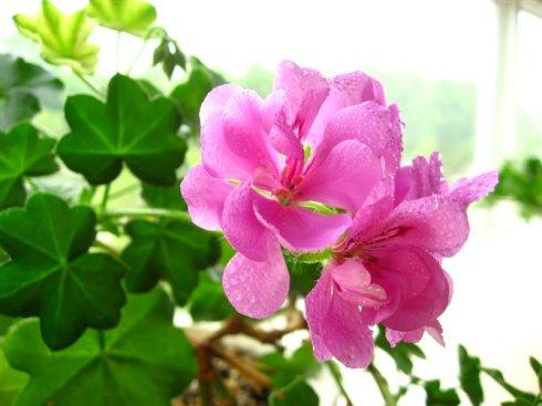 護膚品發(fā)圈句子正能量