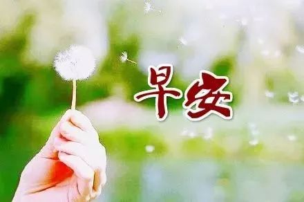 正能量陽(yáng)光的長(cháng)句子說(shuō)說(shuō)心情