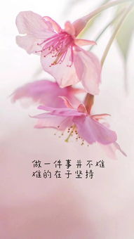 簡短,句子,能量