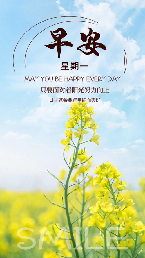 早上好勵(lì)志正能量句子2021,早上好句子正能量,早上好的句子正能量短語(yǔ)