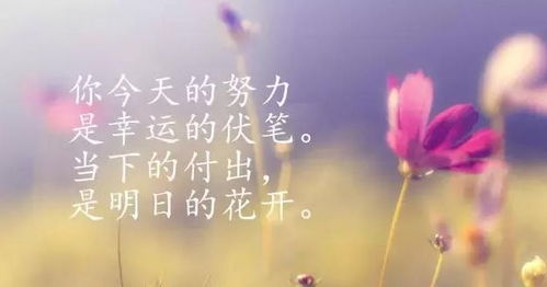 堅持勵志正能量的句子,早上好勵志正能量句子,職場(chǎng)勵志正能量句子