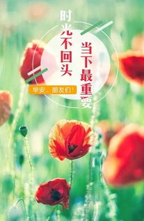 早安,句子,勵志,挫折