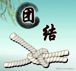 學(xué)生會(huì )團結正能量句子