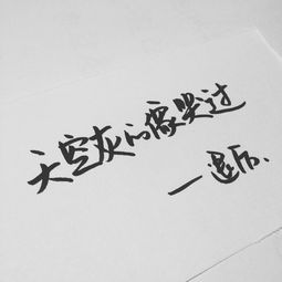 句子,能量,團(tuán)隊(duì),歌詞