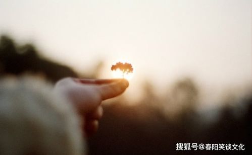 特別討厭正能量的句子