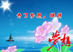 感恩節(jié)勵(lì)志正能量的句子,關(guān)于公司正能量句子,感恩節(jié)分享正能量的句子