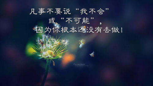 關(guān)于實(shí)干的正能量句子