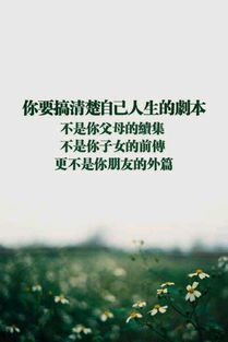 句子,能量,成長(cháng),學(xué)習