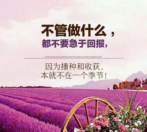 短小,早安,句子,朋友圈
