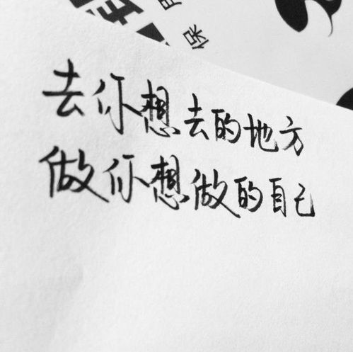 社會(huì )女孩正能量的句子