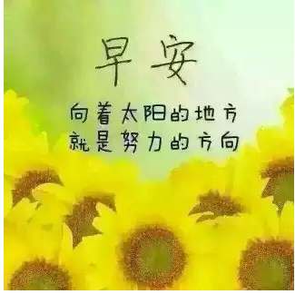 句子,圖案,能量