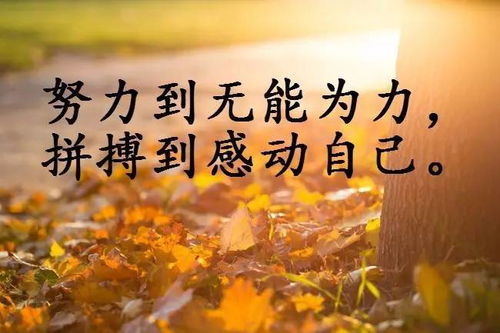 服務(wù)的句子正能量