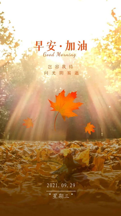 最新勵(lì)志早安正能量的句子,勵(lì)志的早安語(yǔ)正能量句子,早安勵(lì)志正能量滿滿的句子朋友圈