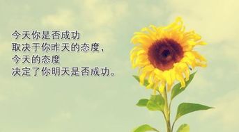 努力積極向上的正能量句子