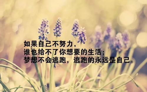 正能量情感語(yǔ)錄心痛的句子,情感語(yǔ)錄風(fēng)景正能量句子?,情感正能量的經(jīng)典句子語(yǔ)錄