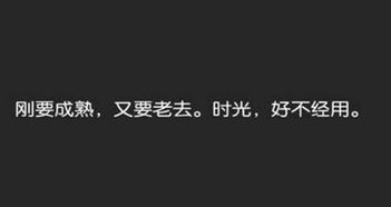 適合朋友圈說說正能量的句子