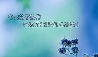 關(guān)于堅持的正能量句子,正能量?jì)?yōu)秀句子,正能量滿(mǎn)滿(mǎn)的勵志句子