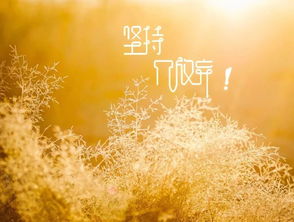 最具正能量的贊美溫暖的句子,正能量溫暖的句子說說心情,正能量溫暖的句子經(jīng)典語句