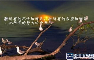 傳遞青春正能量的句子經(jīng)典語(yǔ)句