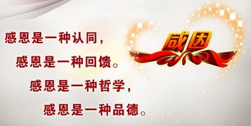 正能量感恩遇見的句子,懂得感恩老板的正能量句子,感恩勵(lì)志正能量的句子